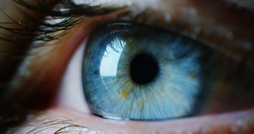 close up image of eye symbolising ego